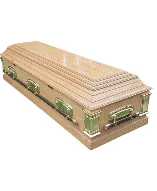 Luxury Metal Casket
